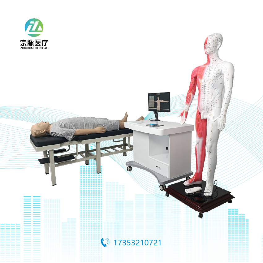 智能经穴学及针刺仿真系统,全身针灸训练人,高仿真针刺模型,中医针灸数字化教学,经络腧穴三维可视化,重庆宗脉医疗